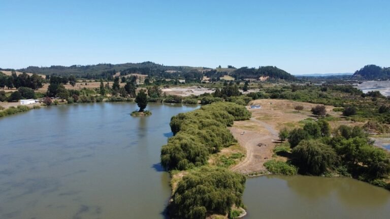 cinemaindo movie portal overview